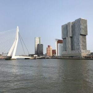 11 .Rotterdam pont Erasme © R. Rouyer